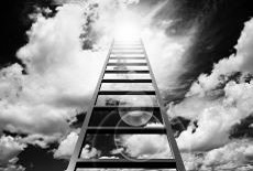 Executive Coaching